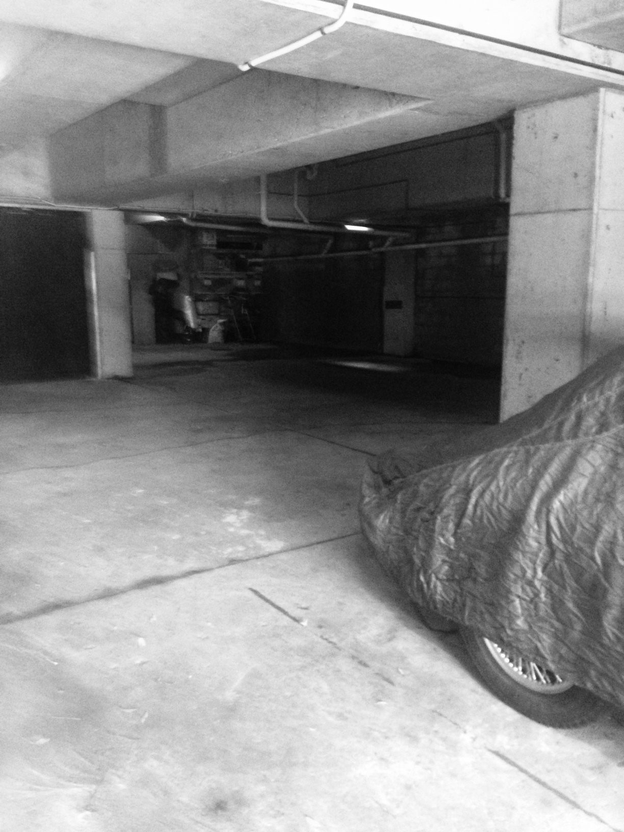 Waverley - Double Garage for Parking in Carrington Rd Waverley - Double Garage for Parking in Carrington Rd