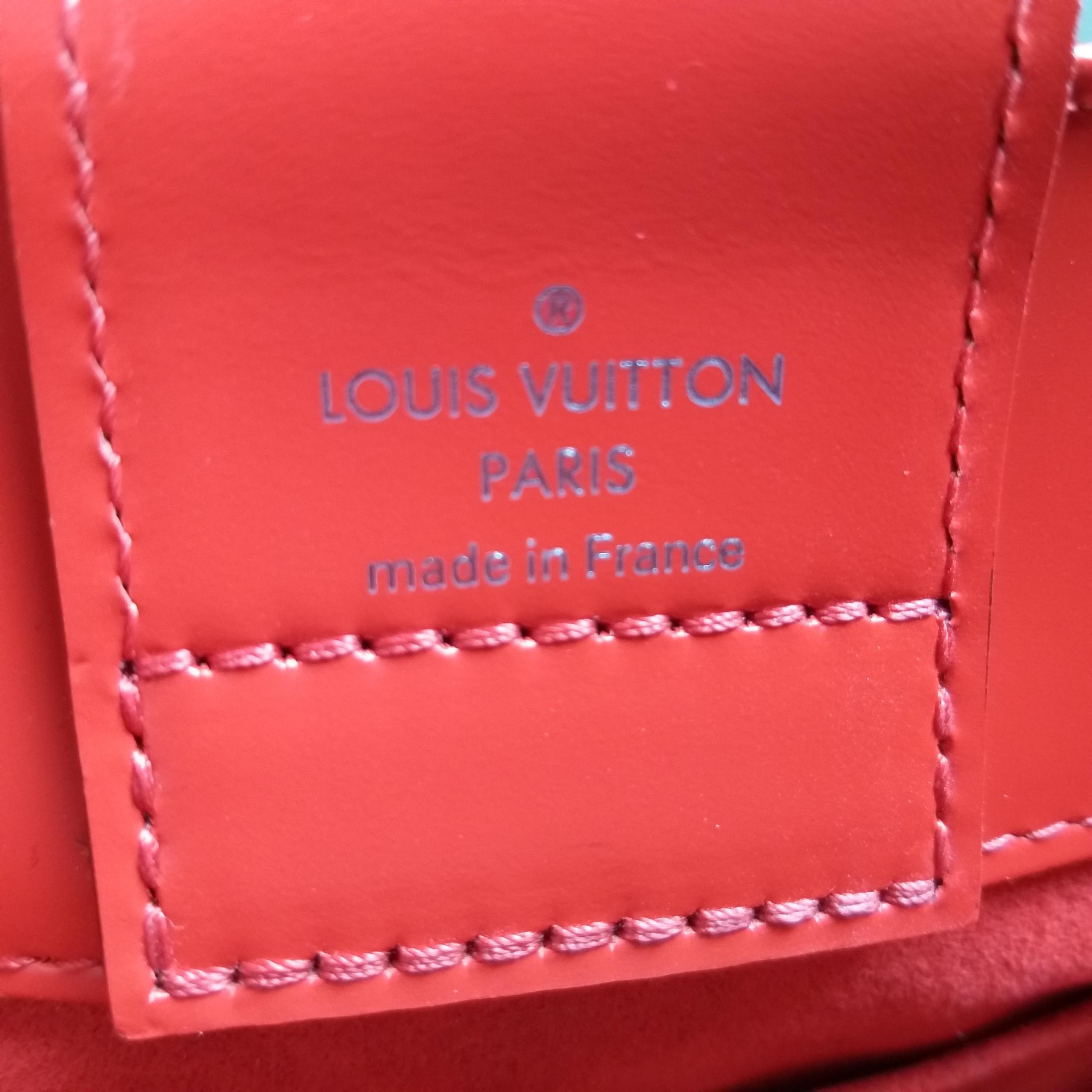 Louis Vuitton Epi Leather Cleaning Business